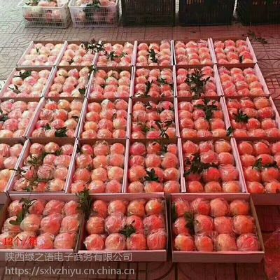 陜西臨潼石榴 紅心軟籽，新鮮直達(dá)的美味與商機(jī)